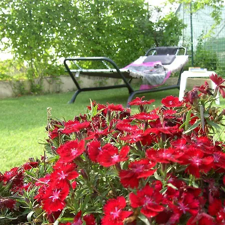 Il Giardino Dei Girasoli